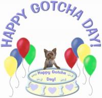 a gotcha day greeting